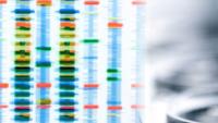 Genome sequenced next to petri dish.